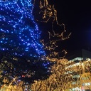 reika’s personal blog