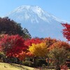 【花の都公園】紅葉が見頃の園内を散策しよう！