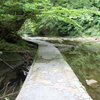 【千葉県夷隅郡】養老渓谷散策　その２