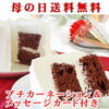 【４選紹介】母の日には花だけじゃなく、スイーツもセットになったものをあげたい。