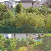 畑のものとか