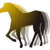 【追い切り注目馬】【葵S】他　2025/5/31(土) 京都競馬　3強構図