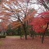 三太郎の小径 西公園紅葉