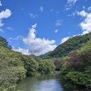 ひよことまと日記