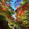 京都ぶらり　本日の一枚　高台寺