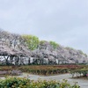 2025年_年度末ゆえ。