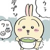 【ちいかわ】うさぎの出汁何