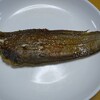 初めて舌平目が釣れてもたぁ～　どう料理しよ～