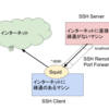 インターネットに疎通のないマシンに SSH Remote Port Forwarding + Squid で Web にアクセスさせる