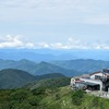 初秋の伊吹山はトリカブトが満開