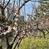 幸せと不幸がせめぎ合ってます