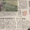 【耕作放棄地対策】休耕地で白菜