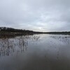 百年に一度の大干ばつを救った恵の雨！ついに湖に水が溜まり始めたので、これまでの苦労を一気に語っちゃいます！