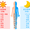 排便と尿意は神秘的な相互関係にある！