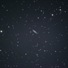 NGC2770 やまねこ座 渦巻銀河