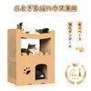 【中川翔子の「ヲ」 ＃３３３】愛猫ハウス