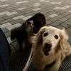 ムシムシ。
