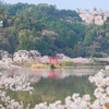 桜の園の水神様