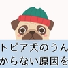 【ハートピア】犬のうんちが見つからない原因と探し方｜不機嫌になる前に知りたいこと