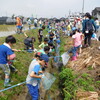 ［２年生］水辺の生きものさがし