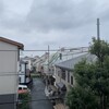 きなこ、渋滞を経験する