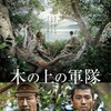 映画『 木の上の軍隊 』🌳
