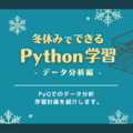 【冬休みでできるPython学習】PyQでのデータ分析学習計画を紹介します