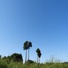 実家詣でも難しいなあ～