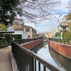 浦安の水辺／メタ水辺を散策