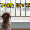 【雑記】「心の温度を測る」——気づかない疲れを見つけるセルフチェックリスト