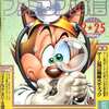 今WEEKLY ファミコン通信 1994年2月25日号 no.271という雑誌にまあまあとんでもないことが起こっている？