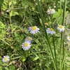 死の扉の向こう側にあるもの