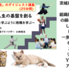研修ひと区切り