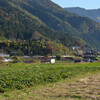 秋の大原の里