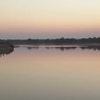 リカオンも来るLuangwa Riverが守られた！