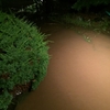 大雨で道路冠水！床下浸水の恐怖