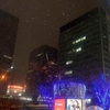 東京初雪
