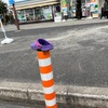 嘘をつくな。