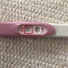 【D36 高温期19日目】妊娠検査薬、判定の結果は？？