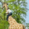 ハンブルグ動物園 Tierpark Hagenbeck (ハーゲンベック動物園)に行く。とっても魅力的です♪