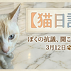 3月12日　ぼくの抗議、聞こえてる？　贅沢バラエティでおいしく栄養補給