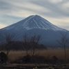 大晦日です。