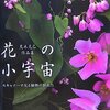 スキャナで撮る花の世界