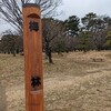 小金井公園梅林に梅の花を見に行って見た。（小金井市関野町）