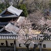 松山城　小天守‣大天守