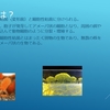 粘菌
