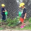 作物もすくすく生長