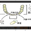 プロテインって必要か？