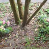 新学期の始まりと、新しい環境で 孤独を感じるとき
