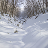 赤城　小黒檜目指すも断念…雪とたわむる